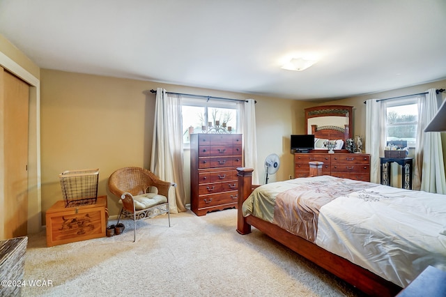 bedroom featuring light colored carpet and a closet