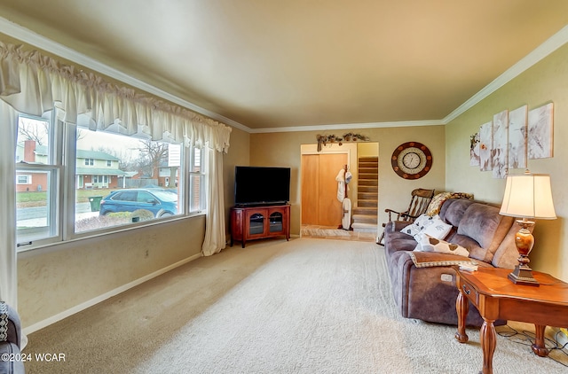 carpeted living room with crown molding