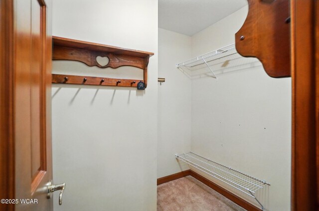411 Ethan Cir, Bluffton, OH 45817 - walk in closet featuring carpet