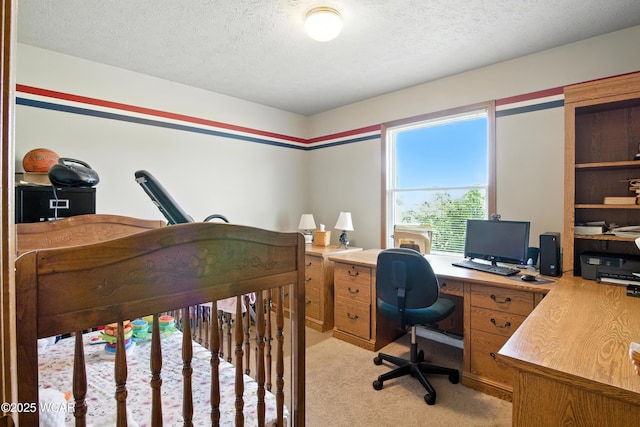 19318 Middle Point Rd, Van Wert, OH 45891 - bedroom with light colored carpet, an office area, and a textured ceiling