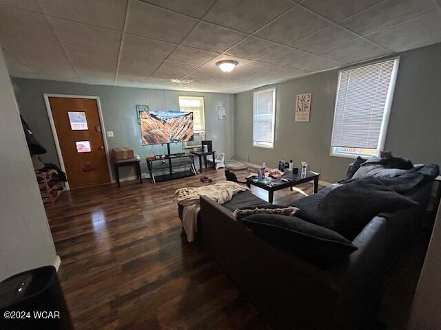 living room featuring dark hardwood / wood-style flooring