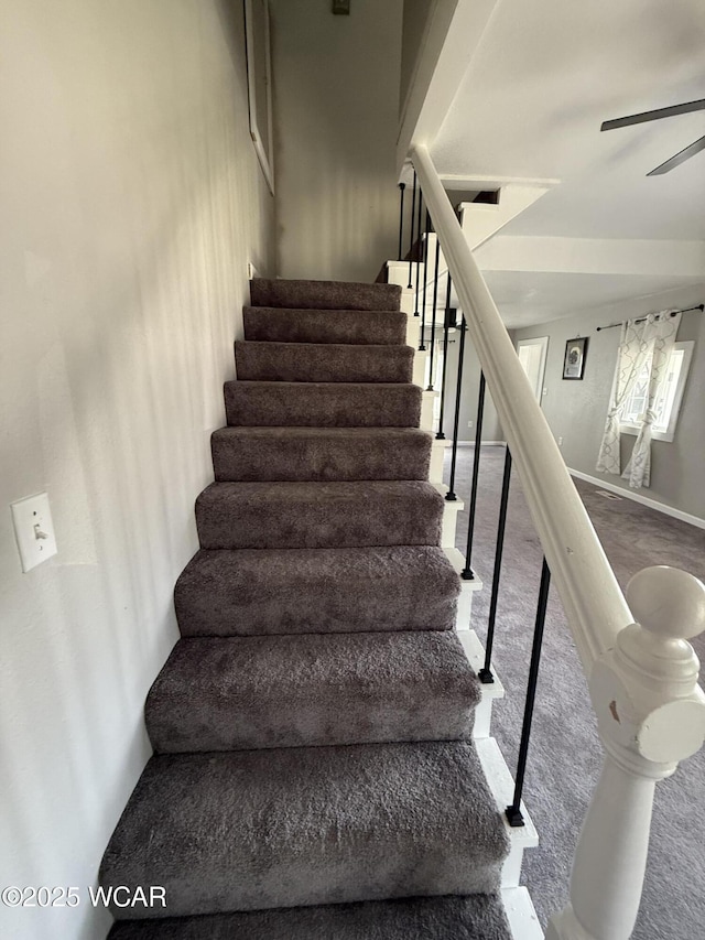 506 Hogan St, Willshire, OH 45898 - photo 13