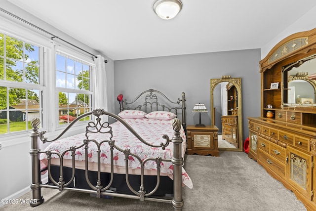 120 Barnsbury Dr, Lima, OH 45804 - view of carpeted bedroom