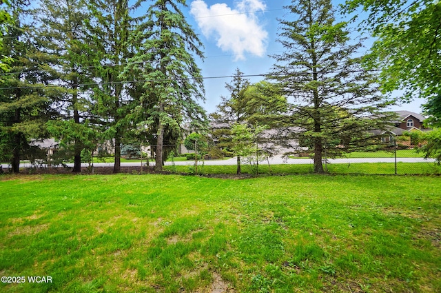 1257 Timberlane Dr, Lima, OH 45805 - view of yard