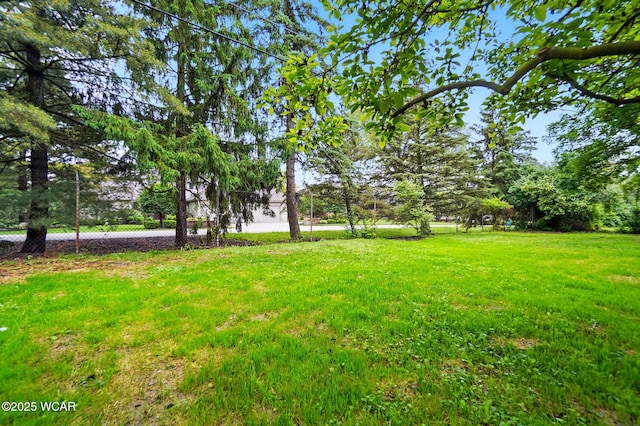 1257 Timberlane Dr, Lima, OH 45805 - view of yard