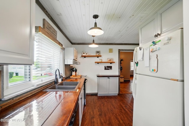 227 N Clay St, Delphos, OH 45833 - kitchen with freestanding refrigerator, a sink, dark wood finished floors, under cabinet range hood, and pendant lighting