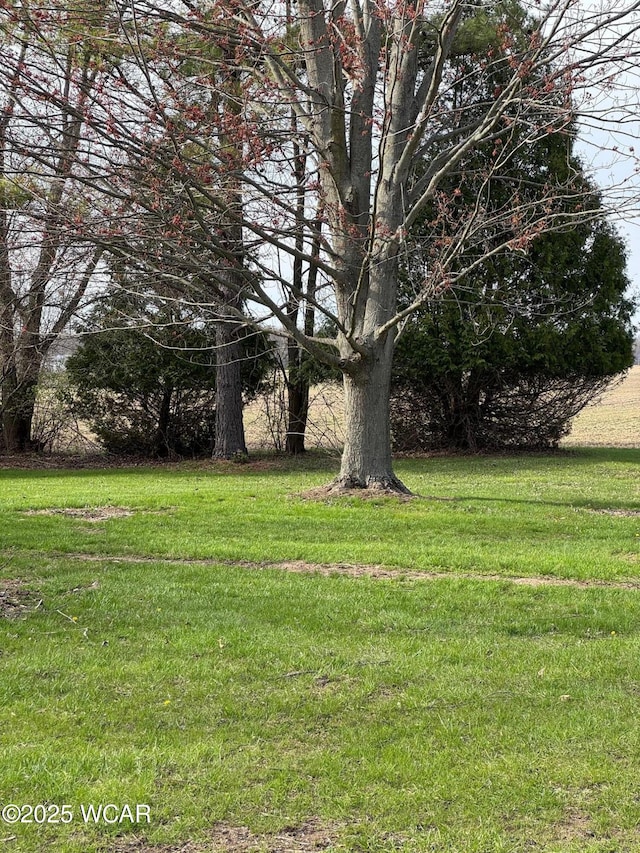 10066 Township Road 32, Arlington, OH 45814 - photo 56