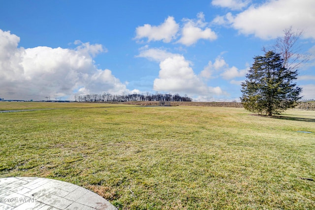 view of yard with a rural view