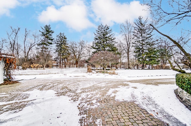 view of yard covered in snow