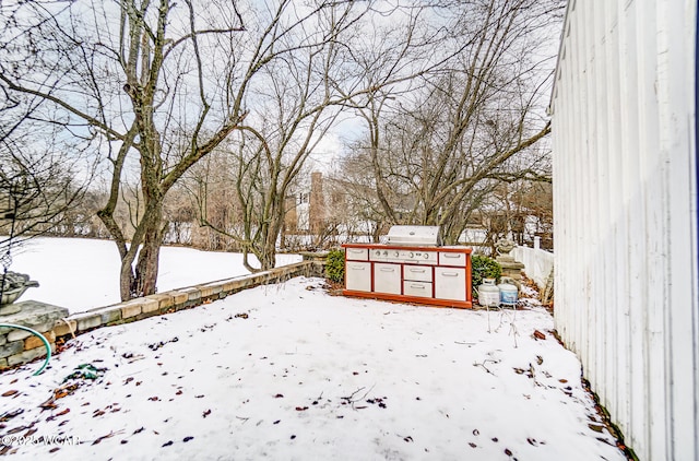 view of yard layered in snow