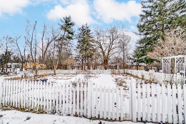 view of snowy yard