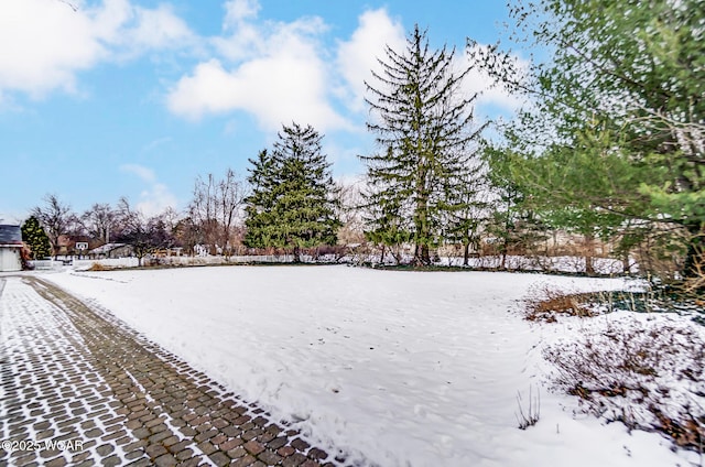 view of yard layered in snow