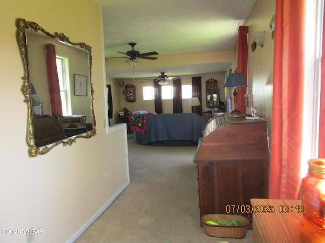 514 S Wayne St, Kenton, OH 43326 - hall with carpet floors and baseboards