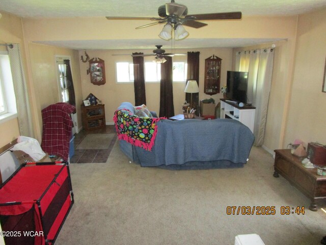 514 S Wayne St, Kenton, OH 43326 - living room with a ceiling fan and carpet floors