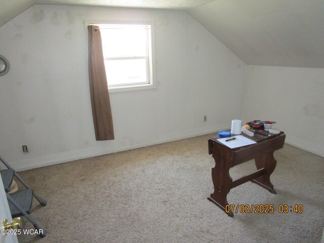 514 S Wayne St, Kenton, OH 43326 - additional living space with vaulted ceiling and carpet