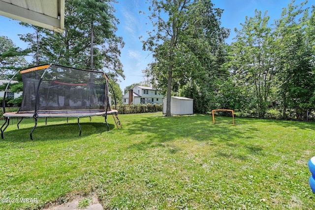 2238 N Glenwood Ave, Lima, OH 45805 - view of yard with a trampoline and a storage unit