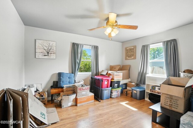 822 Barbara Ln, Wapakoneta, OH 45895 - photo 28