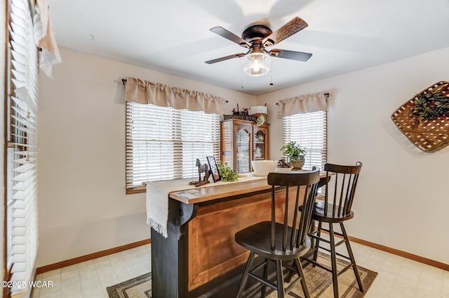 bar with ceiling fan