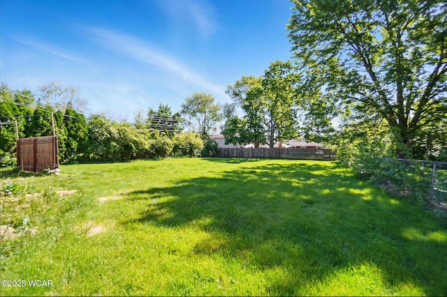 2715 Goldenrod Ln, Findlay, OH 45840 - view of yard