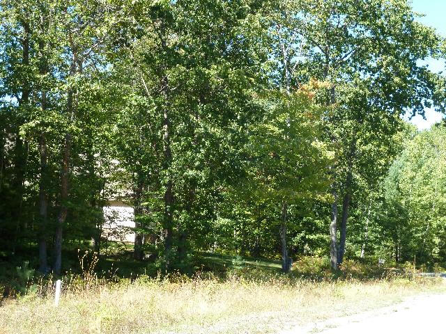 2228 Sommerset Dr, Alpena, MI 49707 - photo 5