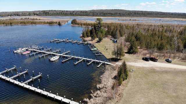 6076 Link Blvd, Indian River, MI 49749