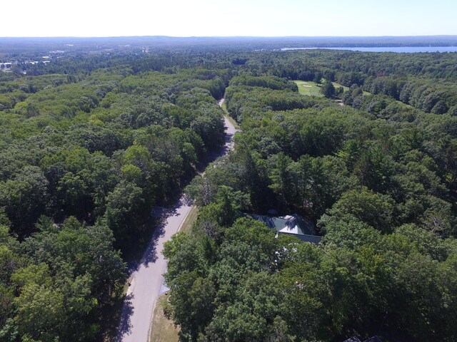 6076 Link Blvd, Indian River, MI 49749