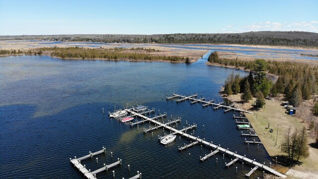 6076 Link Blvd, Indian River, MI 49749