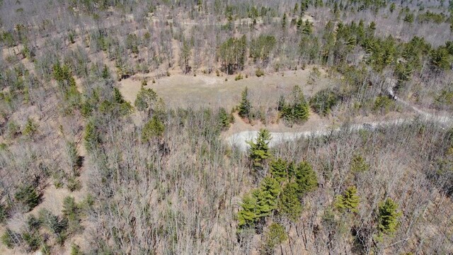 6076 Link Blvd, Indian River, MI 49749