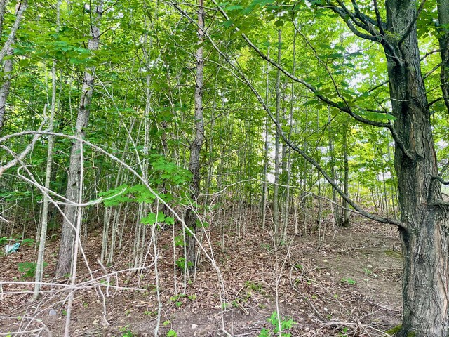 805 Guenther Rdg, Gaylord, MI 49735 - photo 3