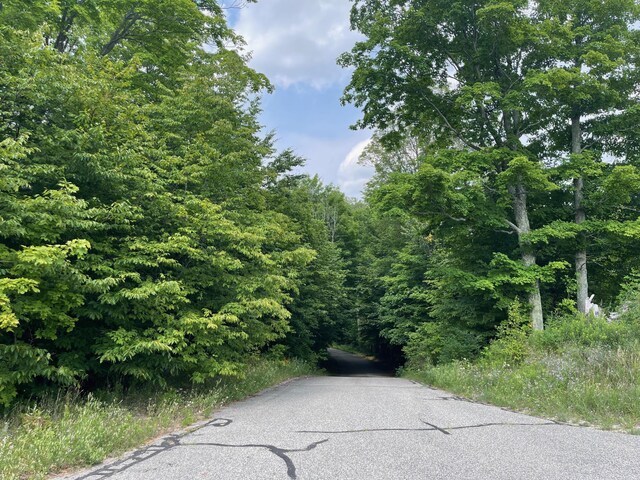 805 Guenther Rdg, Gaylord, MI 49735 - photo 4