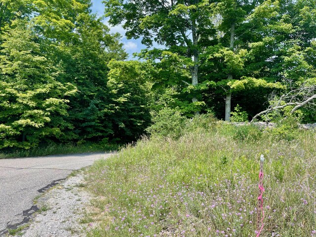 805 Guenther Rdg, Gaylord, MI 49735 - photo 5