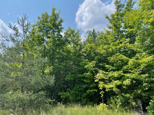 805 Guenther Rdg, Gaylord, MI 49735 - photo 7