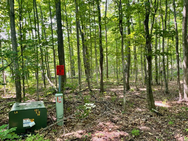 805 Guenther Rdg, Gaylord, MI 49735 - photo 11