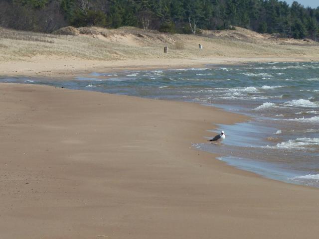 W US-2, Saint Ignace, MI 49781 - photo 15