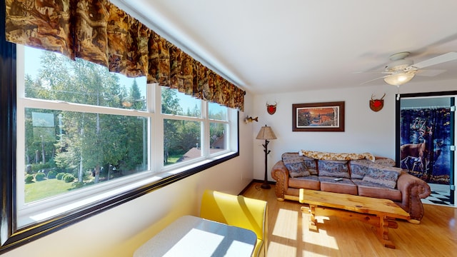 living area with wood finished floors