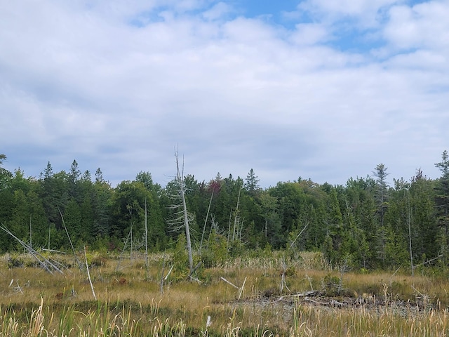 W US-2 Hwy, Saint Ignace, MI 49781 - photo 44