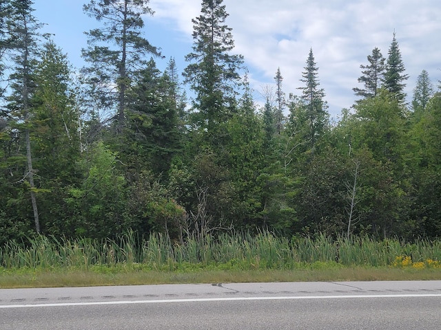 W US-2 Hwy, Saint Ignace, MI 49781 - photo 46