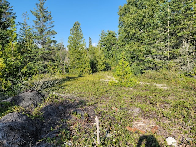 W US-2 Hwy, Saint Ignace, MI 49781 - photo 22