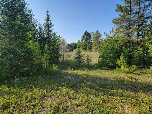 W US-2 Hwy, Saint Ignace, MI 49781 - photo 7