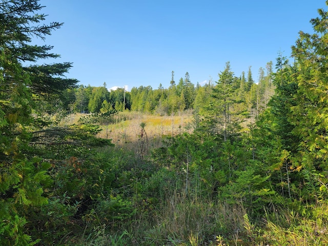 W US-2 Hwy, Saint Ignace, MI 49781 - photo 29