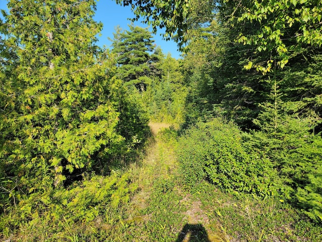 W US-2 Hwy, Saint Ignace, MI 49781 - photo 30