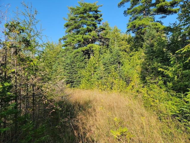 W US-2 Hwy, Saint Ignace, MI 49781 - photo 31