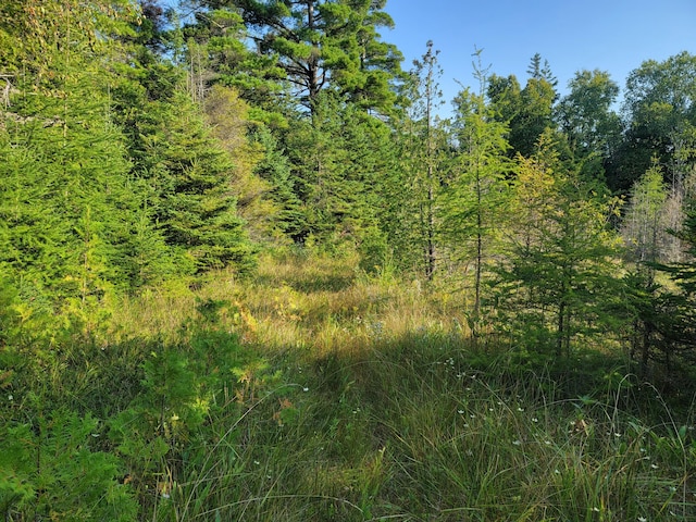 W US-2 Hwy, Saint Ignace, MI 49781 - photo 32