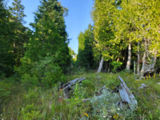 W US-2 Hwy, Saint Ignace, MI 49781 - photo 35