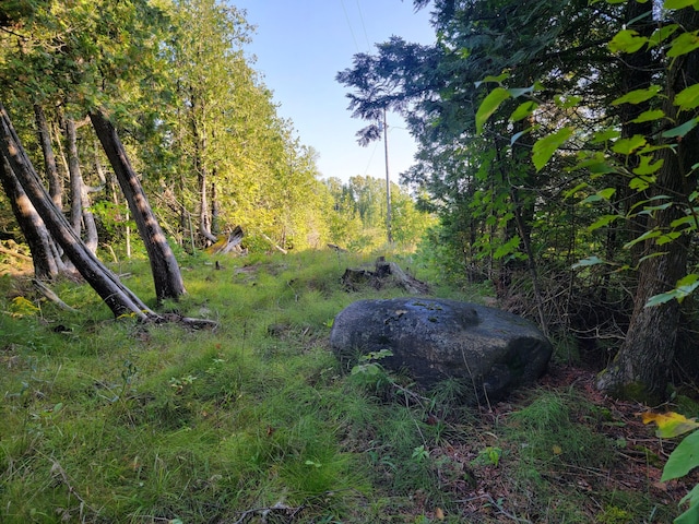 W US-2 Hwy, Saint Ignace, MI 49781 - photo 37