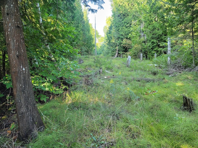 W US-2 Hwy, Saint Ignace, MI 49781 - photo 38