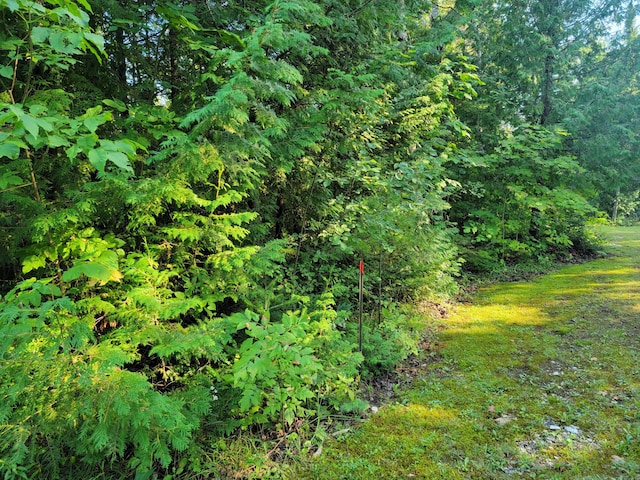 W US-2 Hwy, Saint Ignace, MI 49781 - photo 39