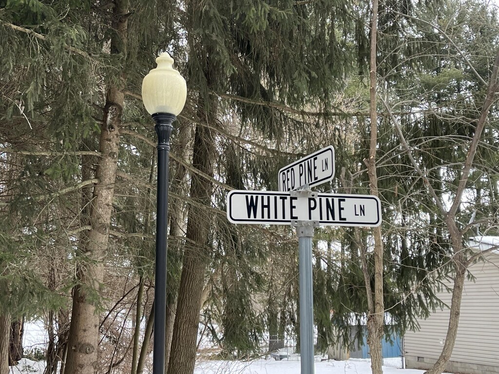 LOT1 Red Pine Ln, Croswell, MI 48422 - photo 3