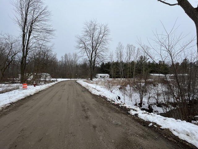 LOT1 Red Pine Ln, Croswell, MI 48422 - photo 4