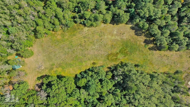 320ACRES Stickfort Rd, Lewiston, MI 49756 - photo 5